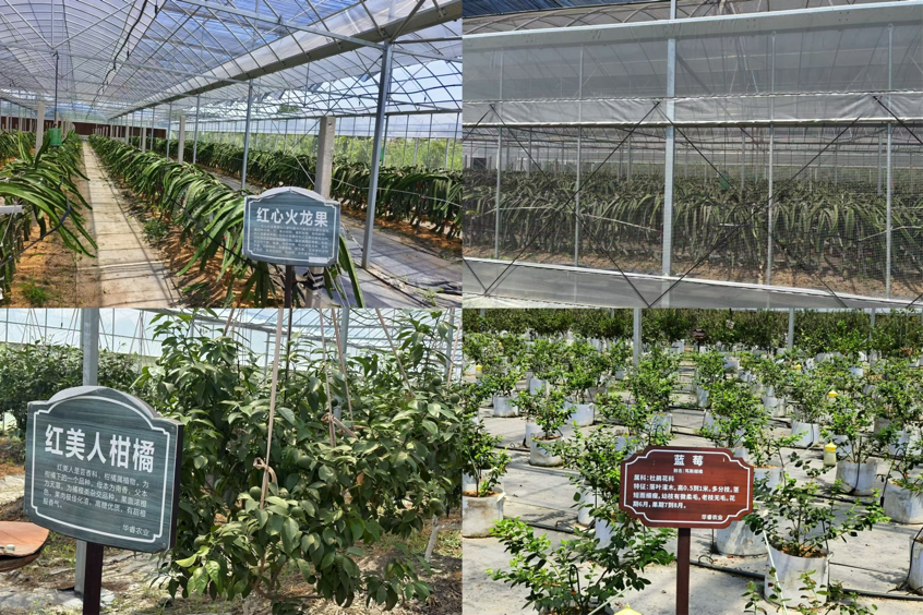 青春助农业，校企政同行——江南大学“浙里浔光”实践团走访湖州双林镇农业企业