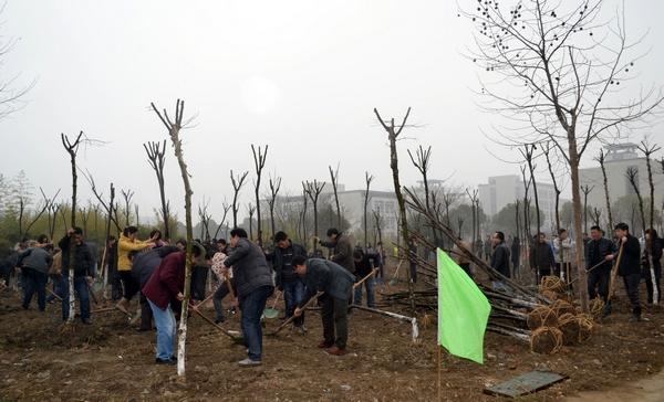 植树活动现场