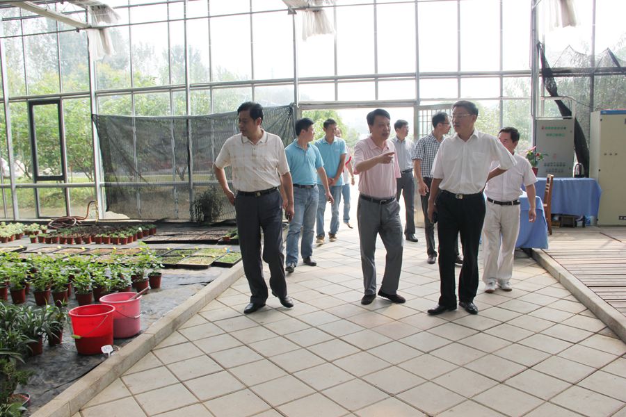 走访温室花房