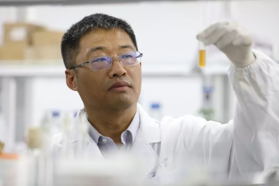 【锚定2035·院士谈科学报国】践行“大食物观” 筑牢国家食物安全根基