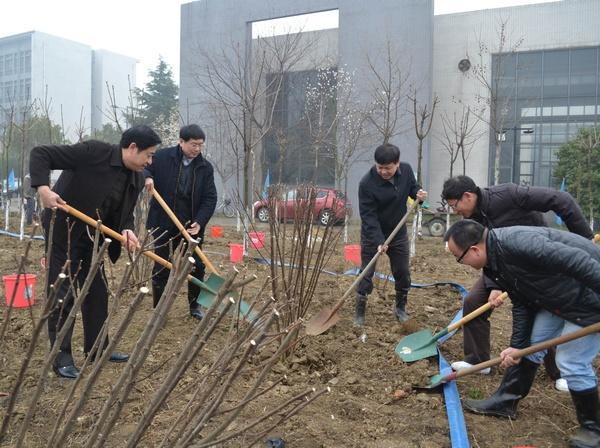 热火朝天植树忙